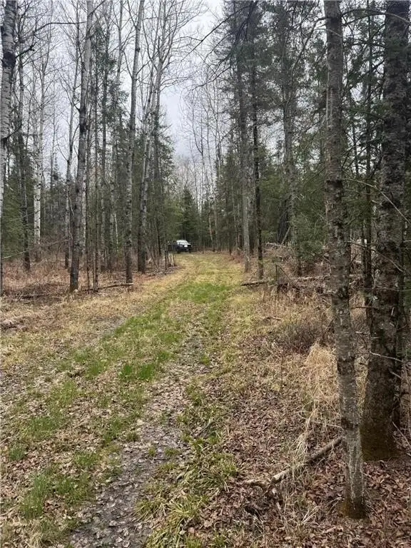 Picture 23