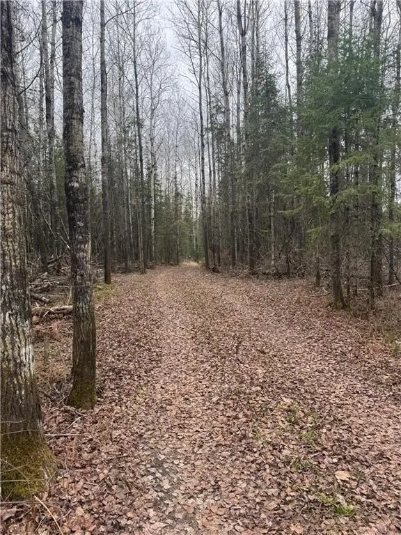Picture 29