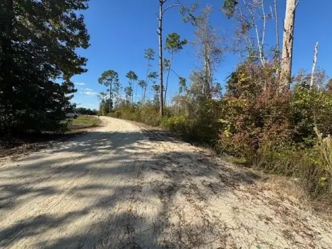 Kinard, FL Residential Land