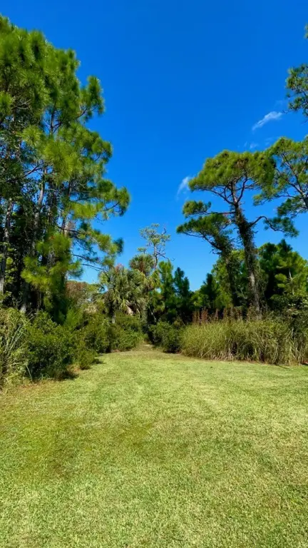 Picture 26