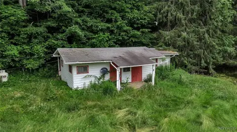 Land with Cabin in Cohocton