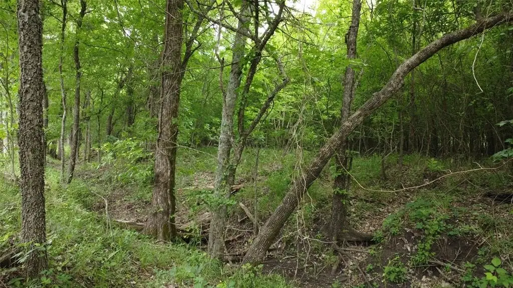 Picture 8