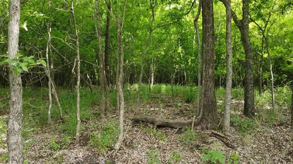Picture 25
