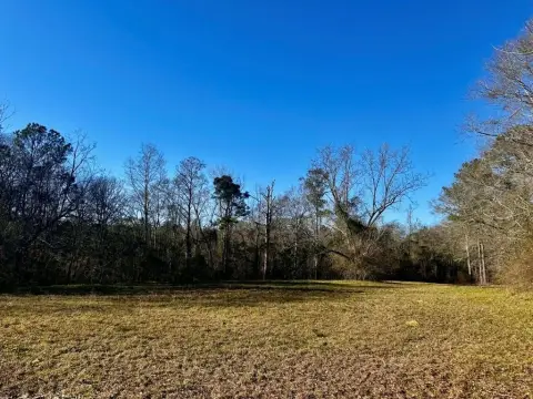 Vacant Land in Troy, Alabama