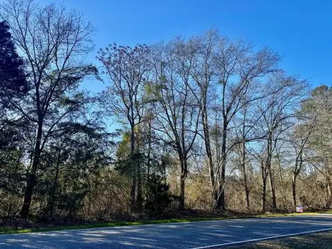 Vacant Land in Troy, Alabama