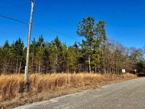 Vacant Land in Troy, AL
