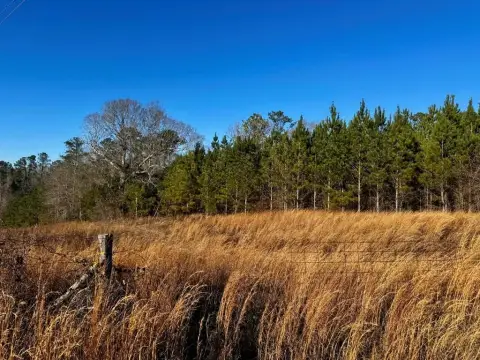 Vacant Land in Troy, Alabama