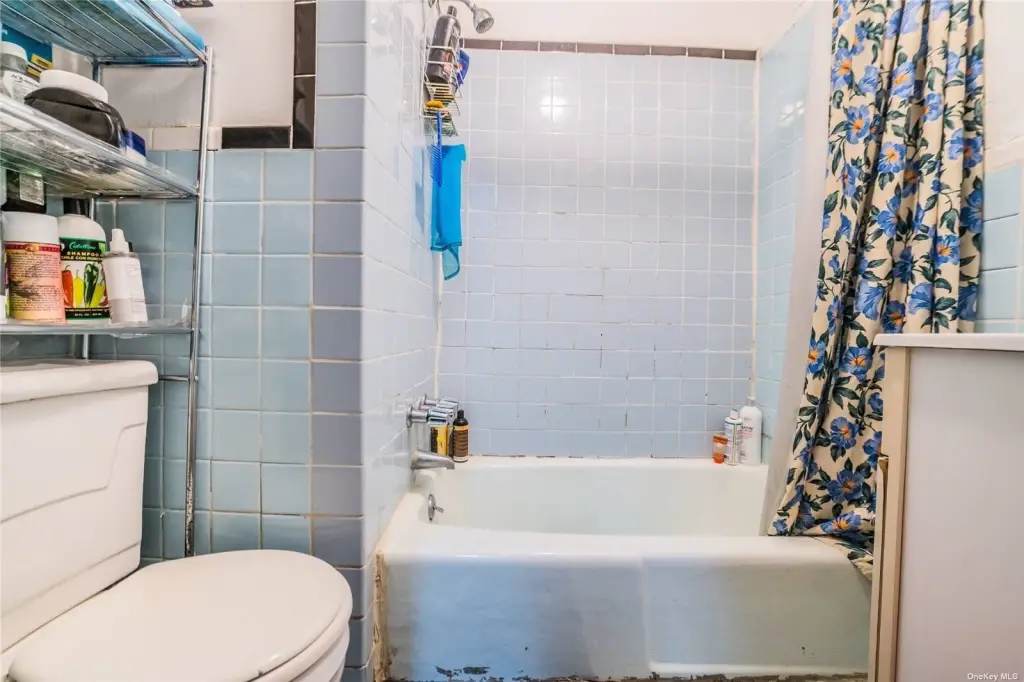 Picture 11