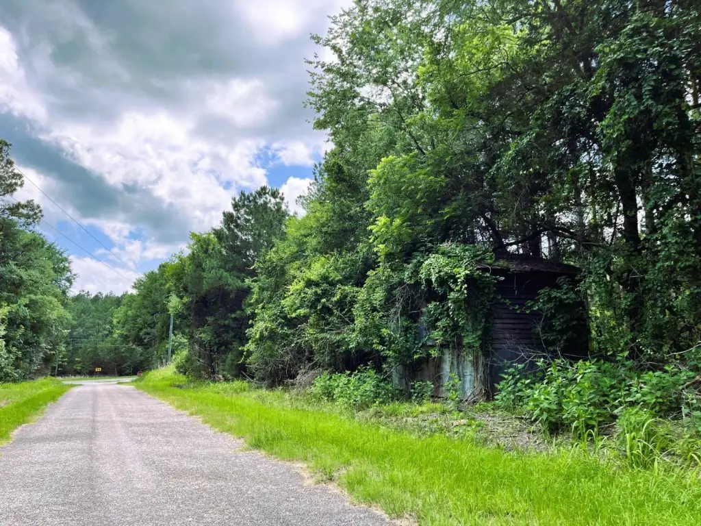 Picture 3