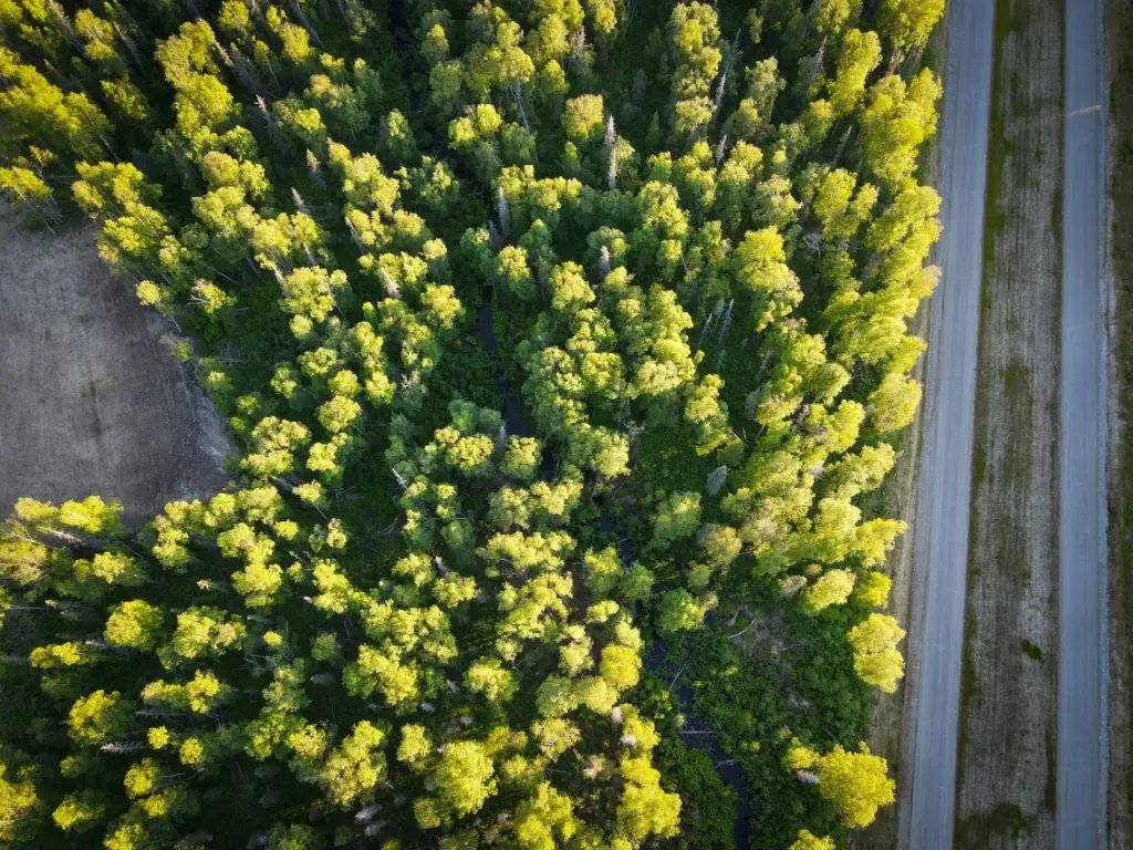 Picture 4