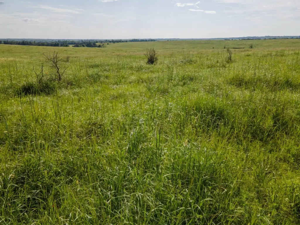 Picture 63