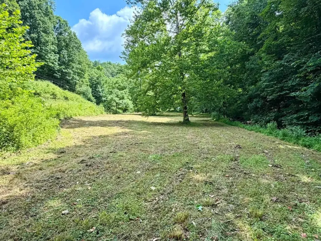 Picture 11