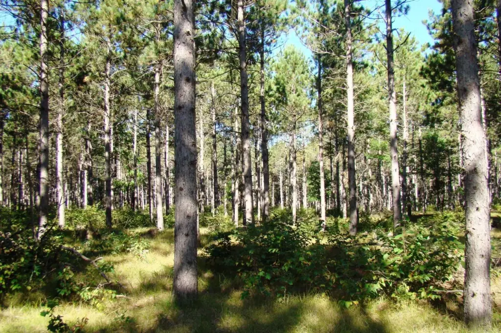 Picture 7