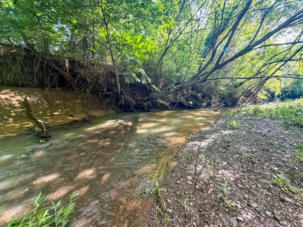 Picture 41