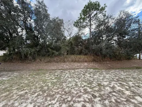 Residential Land in Weeki Wachee