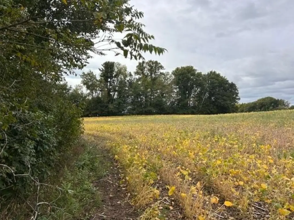 Picture 4