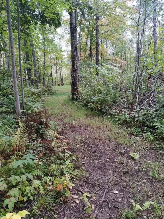 Picture 2