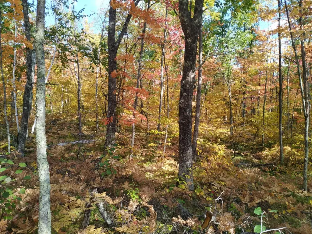 Picture 5