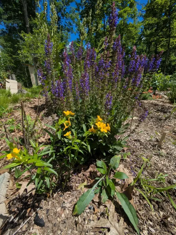 Picture 22