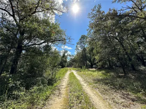 Williston Highlands Golf Lot