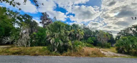 Residential Land Near Downtown Tavares