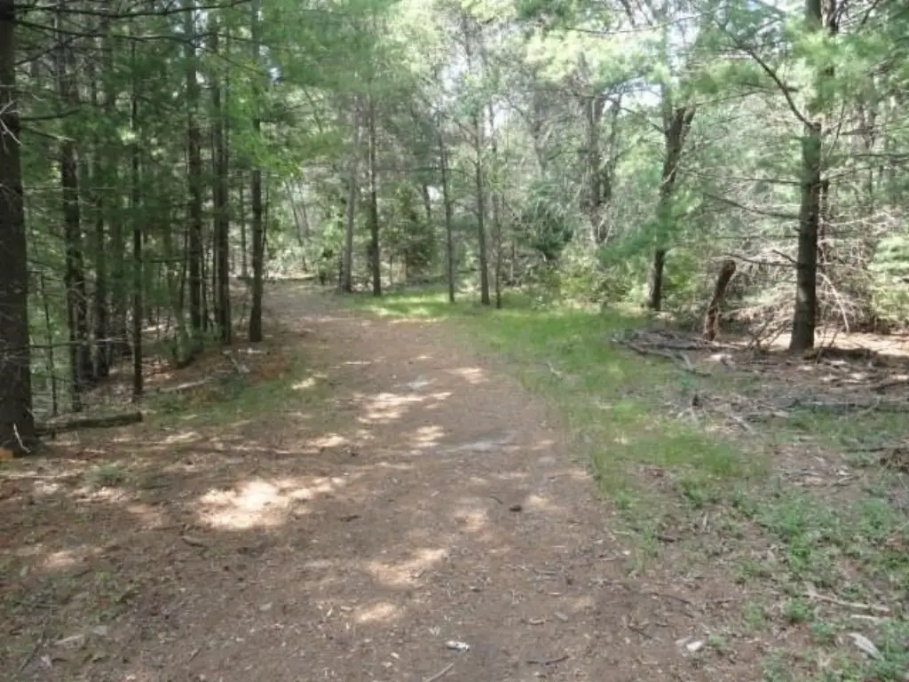 Picture 34