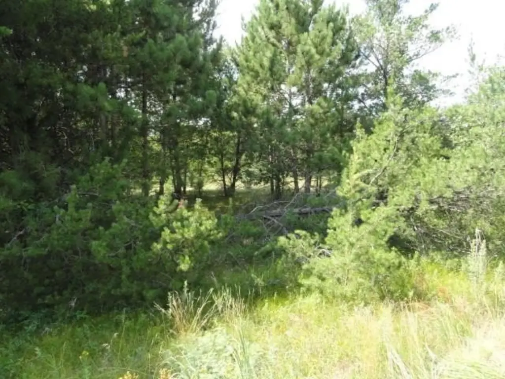 Picture 29