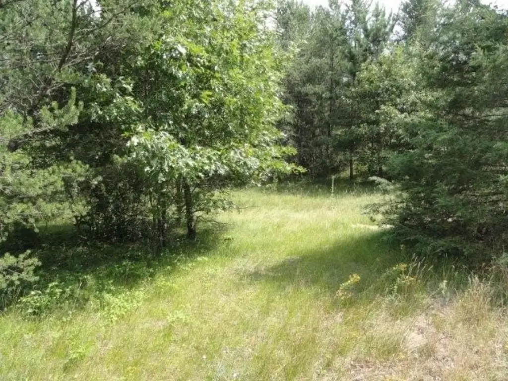 Picture 28