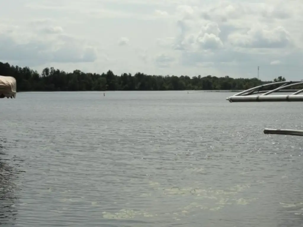 Picture 45
