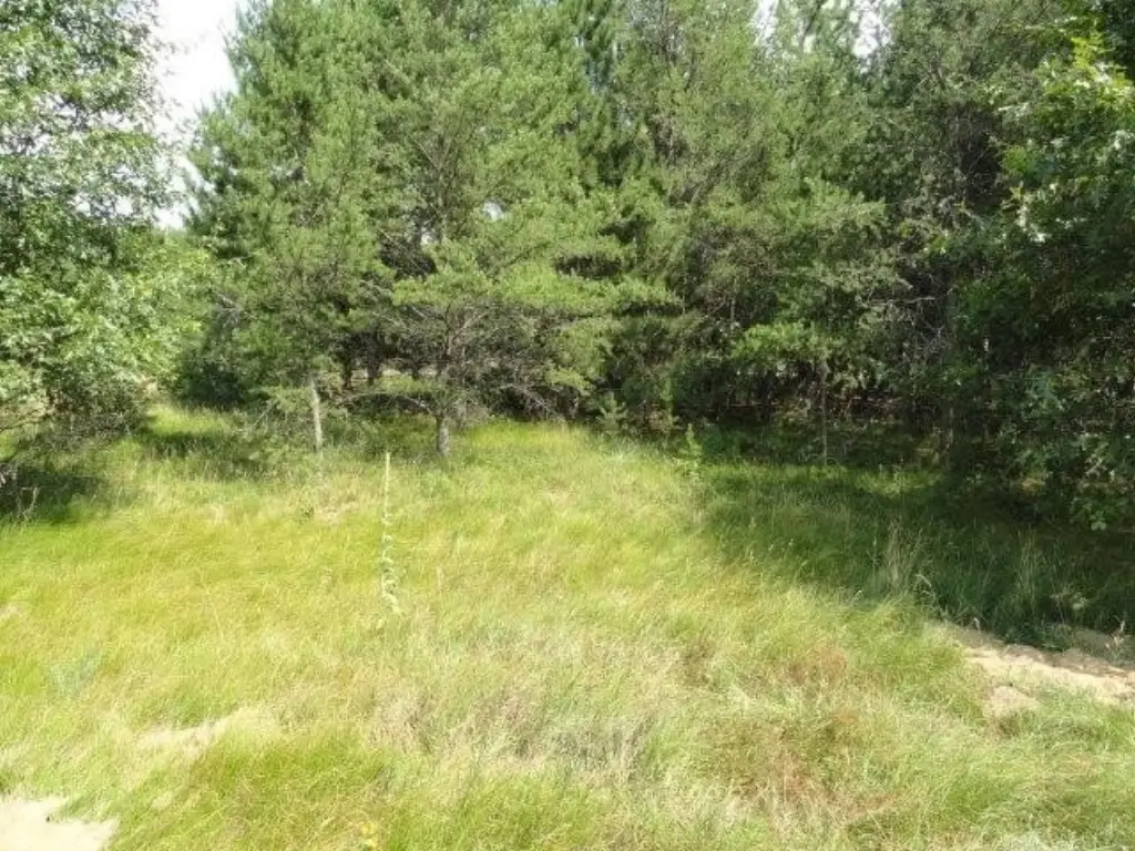 Picture 30