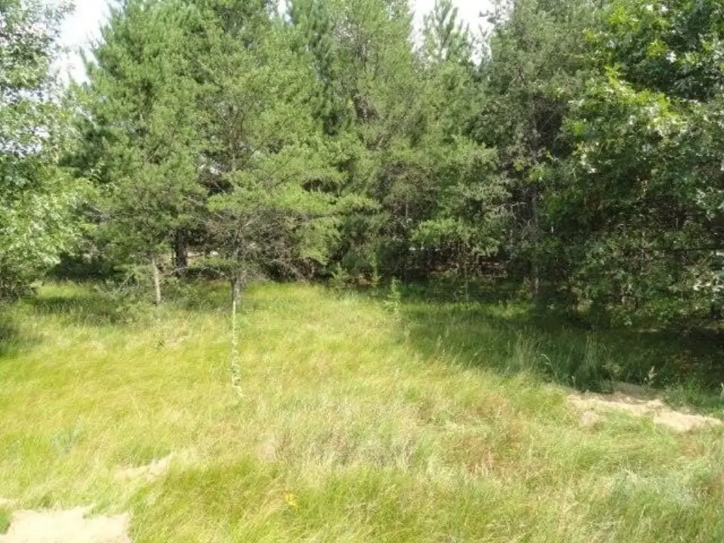 Picture 31