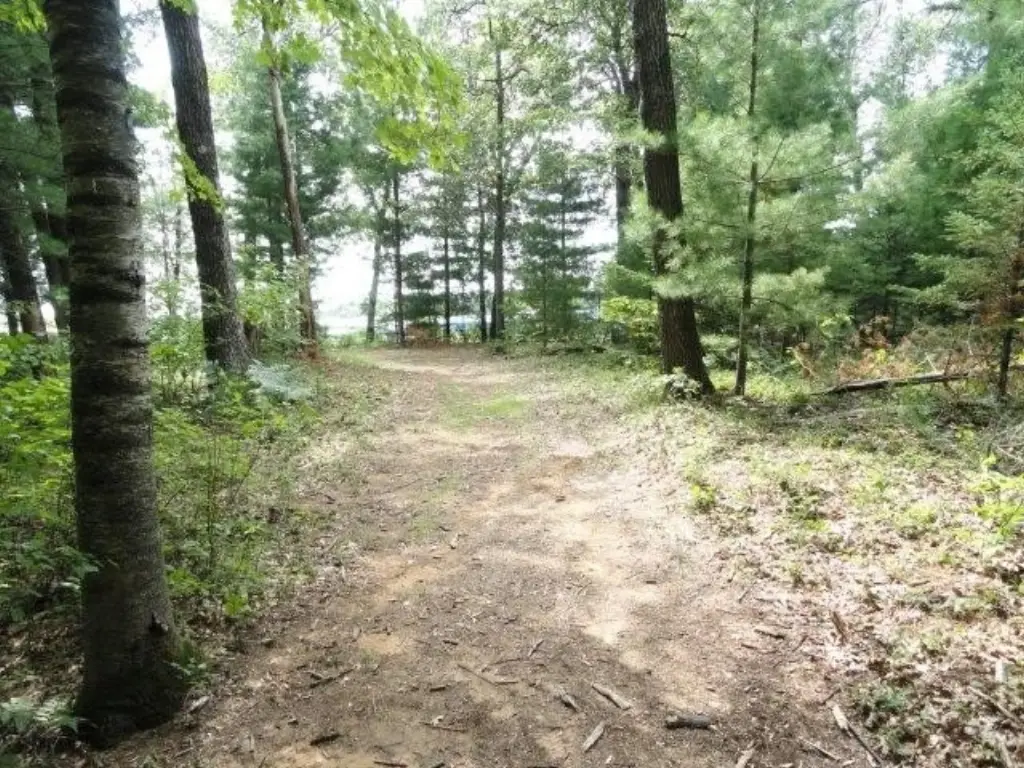 Picture 35