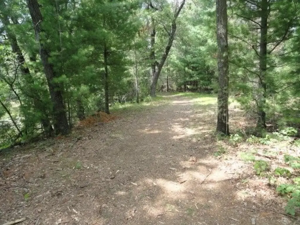 Picture 36