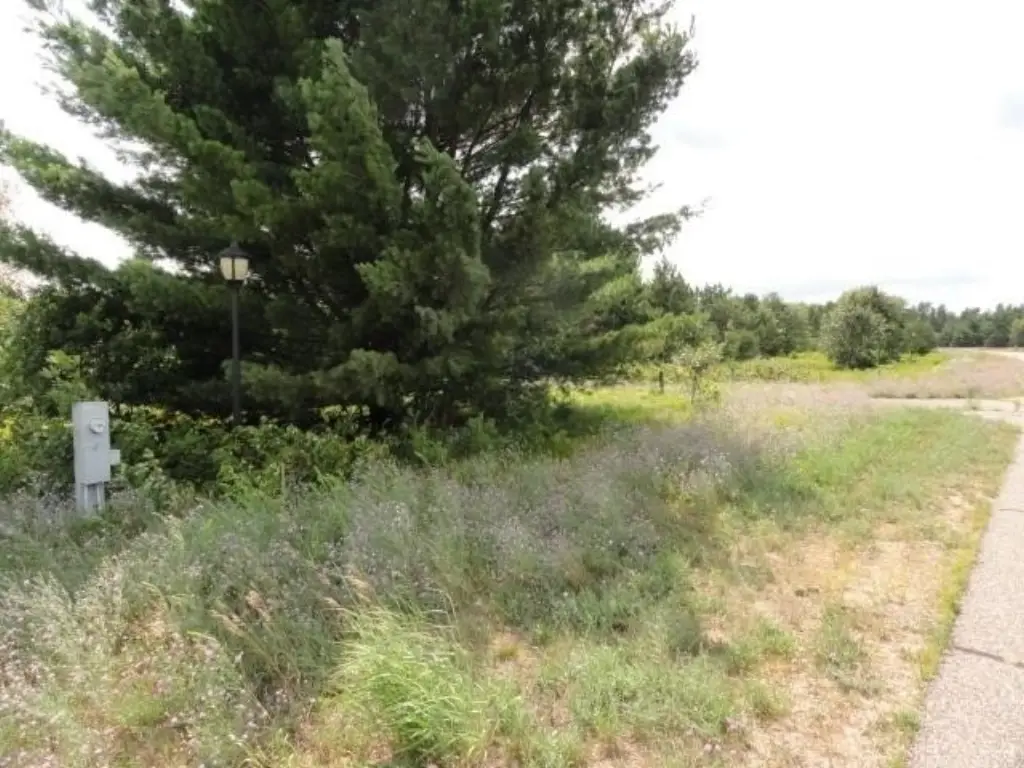 Picture 19