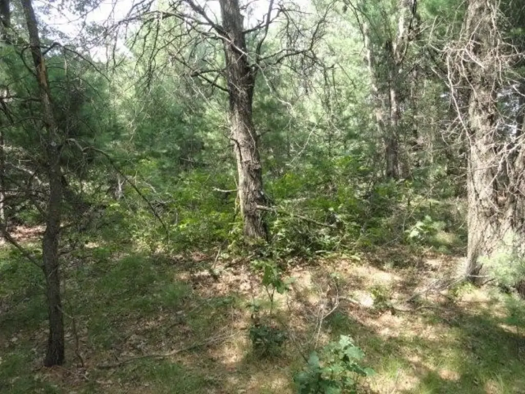 Picture 33