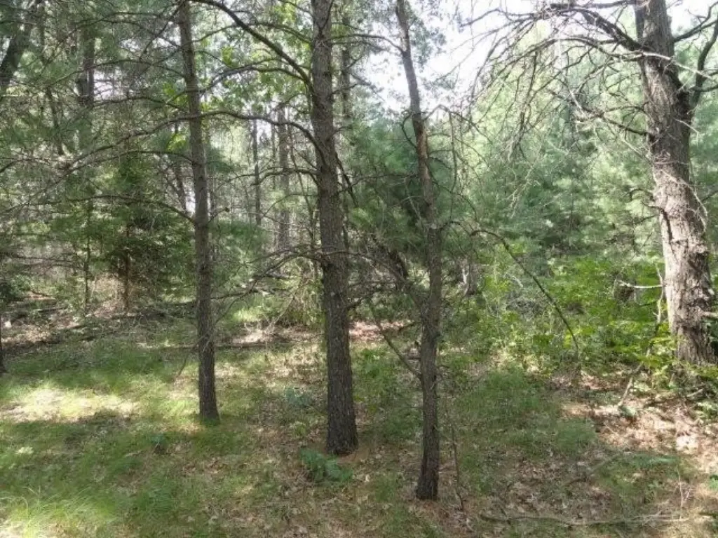 Picture 32
