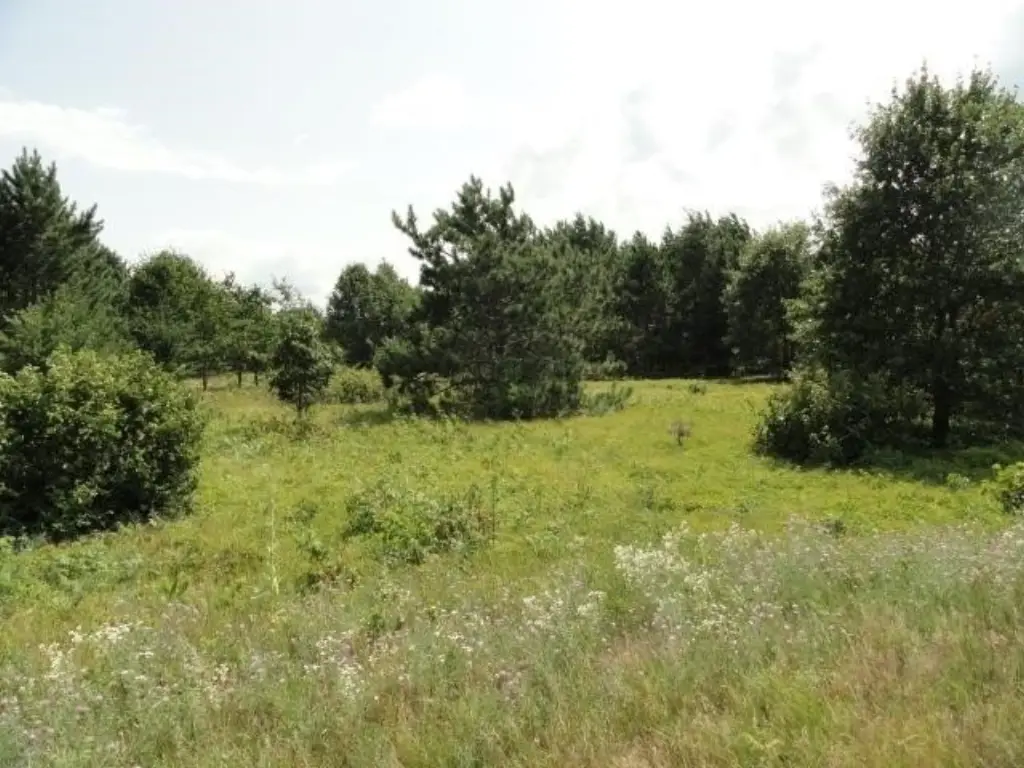 Picture 22