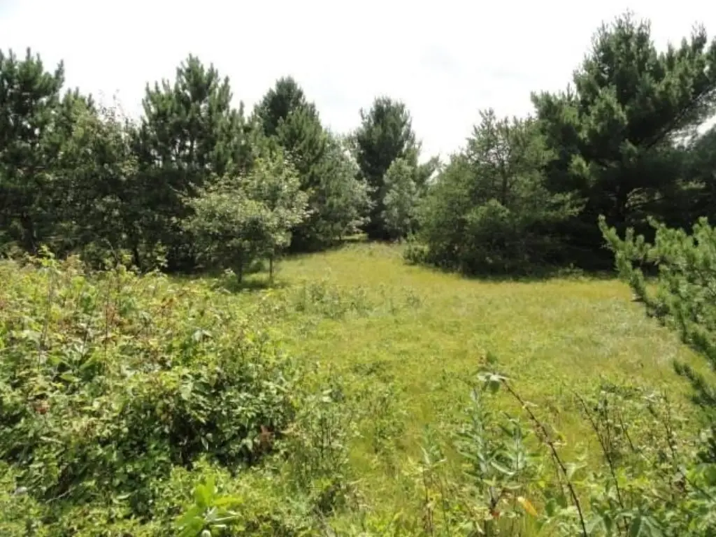 Picture 25