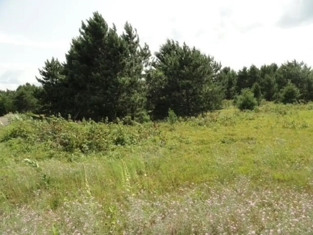 Picture 21