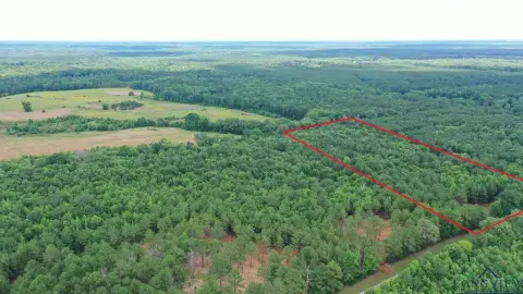 East Texas Recreational Acreage