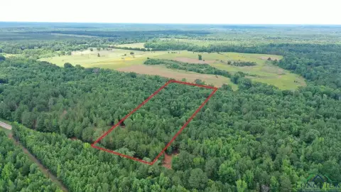 East Texas Acreage For Sale