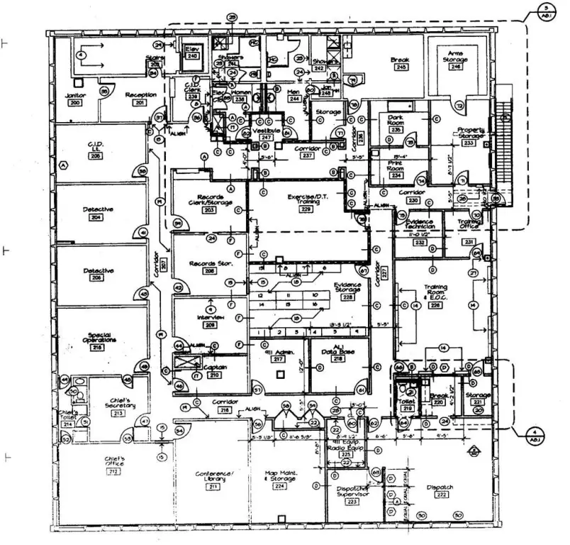 Picture 11