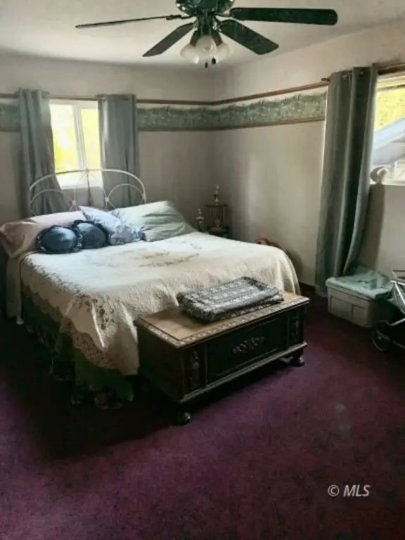 Picture 29