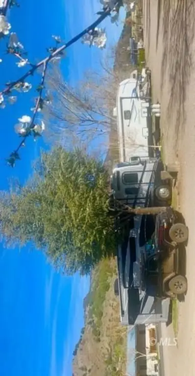 Picture 15