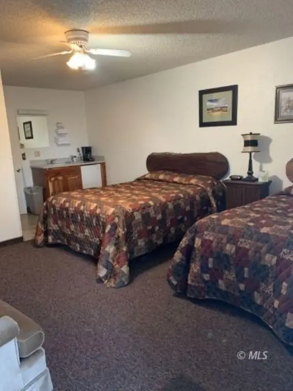 Picture 16