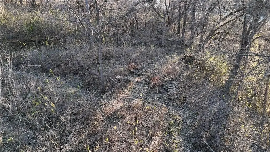 Picture 16