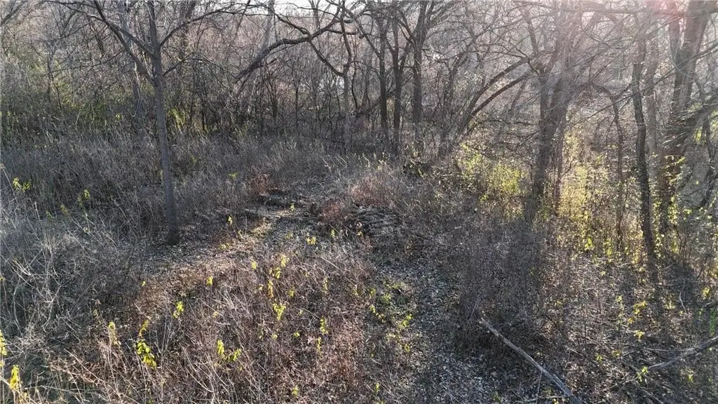 Picture 15