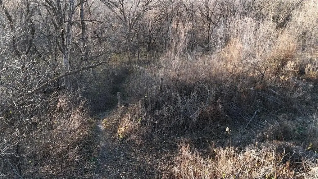 Picture 14