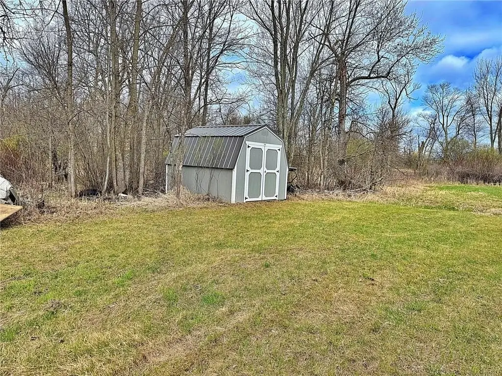 Picture 6