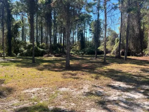 Carrabelle Residential Double Lot
